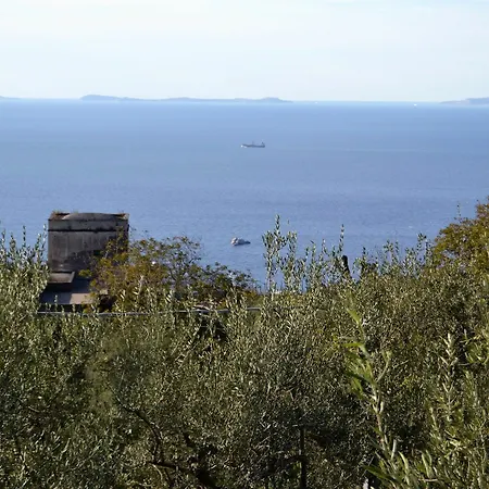 Casa Degli Ulivi Massa Lubrense