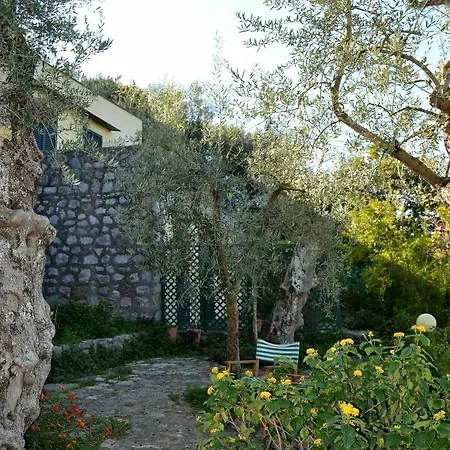Casa Degli Ulivi Massa Lubrense