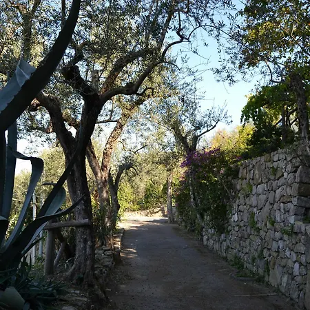 Casa Degli Ulivi Massa Lubrense