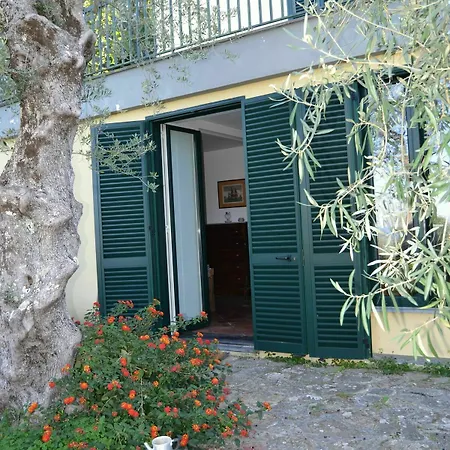 Apartment Casa Degli Ulivi Massa Lubrense