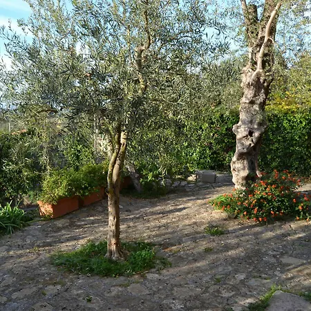 Casa Degli Ulivi Apartment Massa Lubrense
