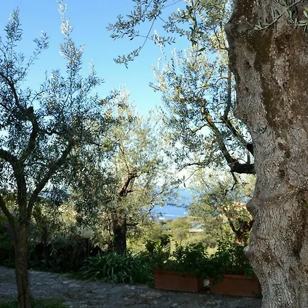 Casa Degli Ulivi Apartment