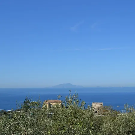 Casa Degli Ulivi Massa Lubrense