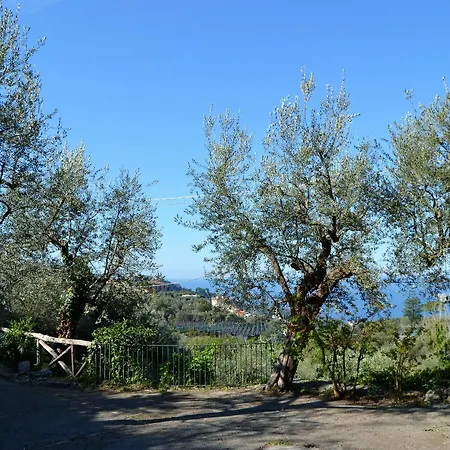 Apartment Casa Degli Ulivi Massa Lubrense