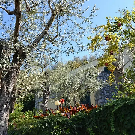 Casa Degli Ulivi